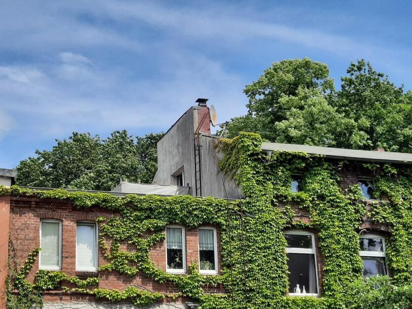 2 ZKB Altbau in Heidmühle mit Klimaanlage + Balkonkraftwerk