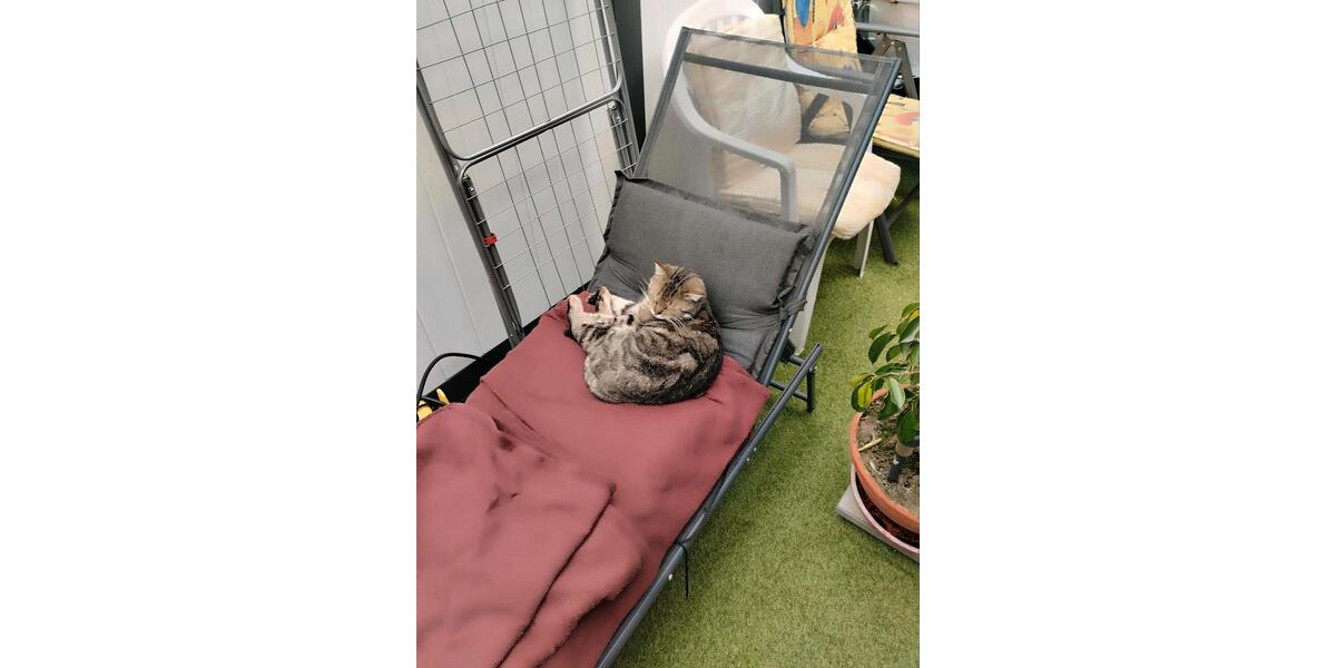 drei Zimmer Wohnung 3 zimmer