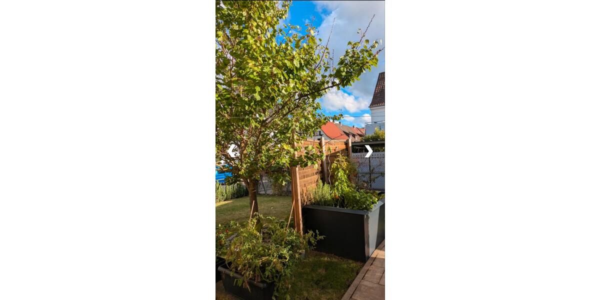 Etagenwohnung Schweinfurt Gartenstadt - 1 Zimmer, 18 m&sup2;, 270&euro; | Angebot:25138042