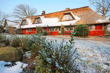 Wohnung Wensin - 1 Zimmer, 25 m&sup2;, 580&euro; | Angebot:24857465