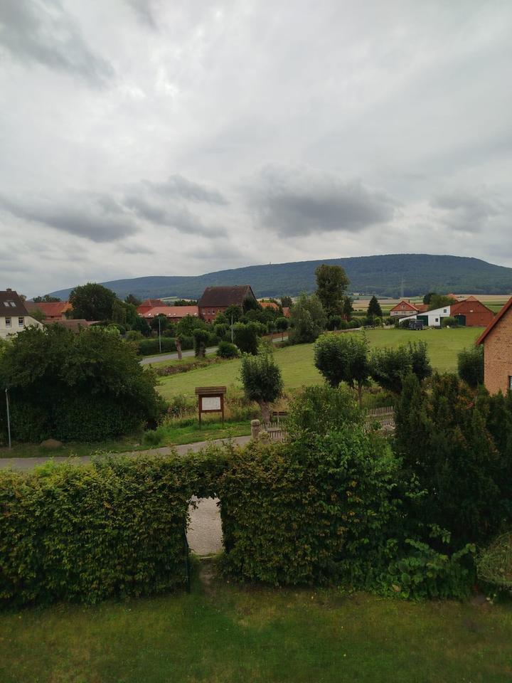 3 Zimmerwohnung in Oldendorf