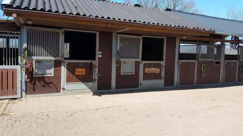 Erdgeschoßwohnung Henstedt-Ulzburg Ulzburg - 1 Zimmer, 30 m&sup2;, 650&euro; | Angebot:26310556