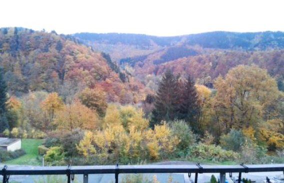 Erdgeschoßwohnung Bad Lauterberg im Harz - 3 Zimmer, 73 m&sup2;, 470&euro; | Angebot:26000012