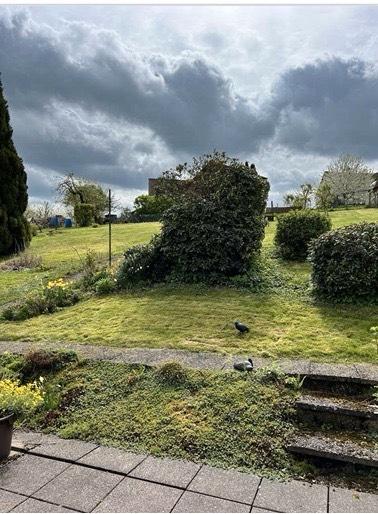 Mehrfamilienhaus, Wohnhaus Delligsen - 8 Zimmer, 200 m&sup2;, 1.200&euro; | Angebot:26235033