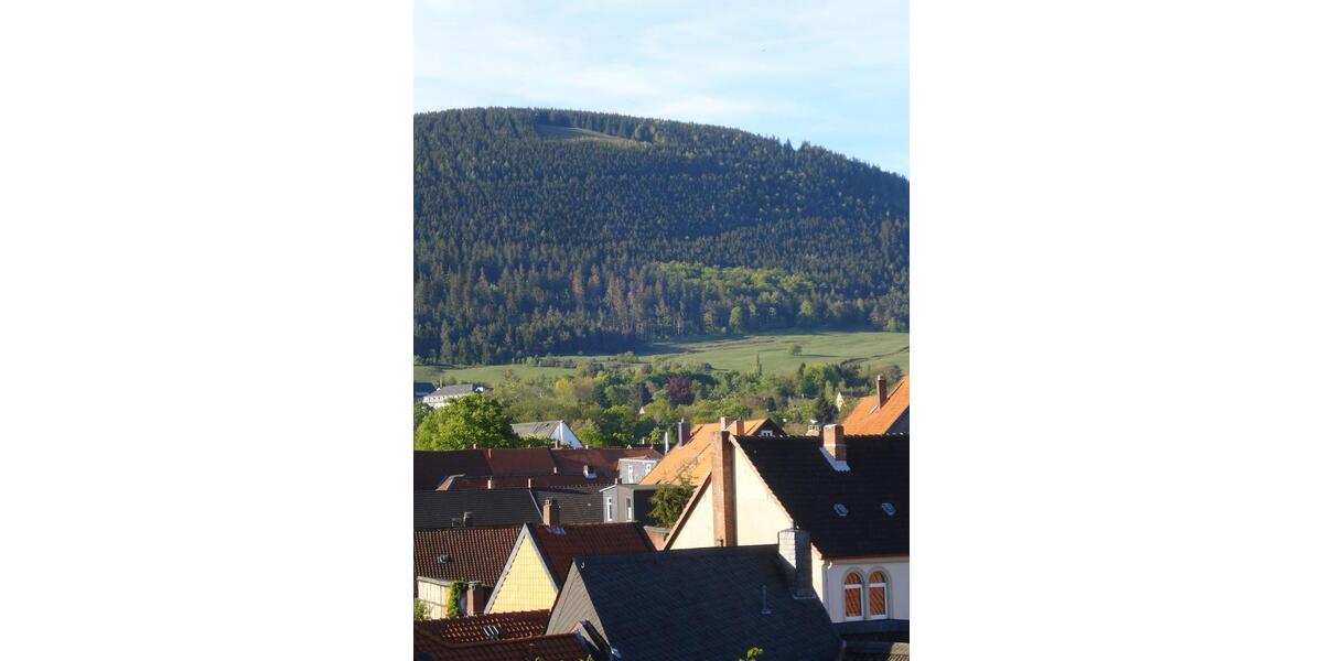 Dachgeschoßwohnung Goslar - 2 Zimmer, 520&euro; | Angebot:23394853