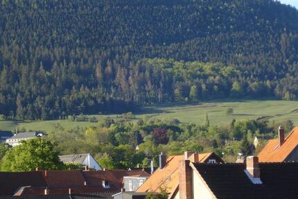 Wohnung Goslar - 2 Zimmer, 520&euro; | Angebot:23394853