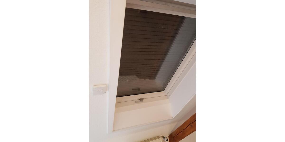 Dachgeschoßwohnung Torgau - 1 Zimmer, 46 m&sup2;, 375&euro; | Angebot:26490611