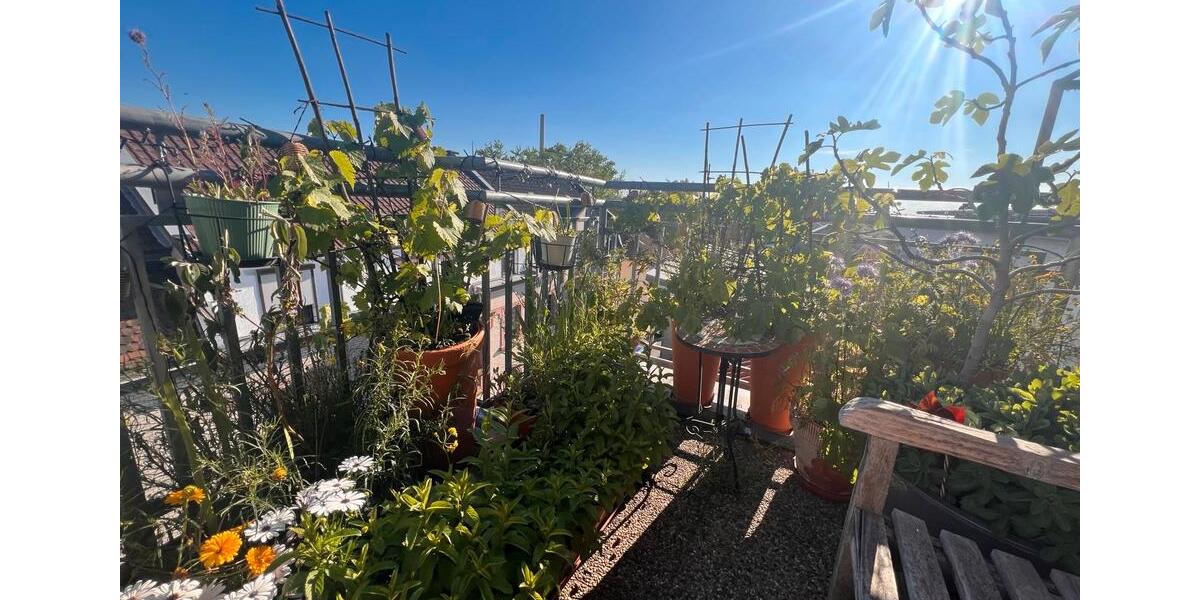 Wohnen auf Zeit Mannheim Niederfeld - 3 Zimmer, 105 m&sup2;, 1.590&euro; | Angebot:26684208