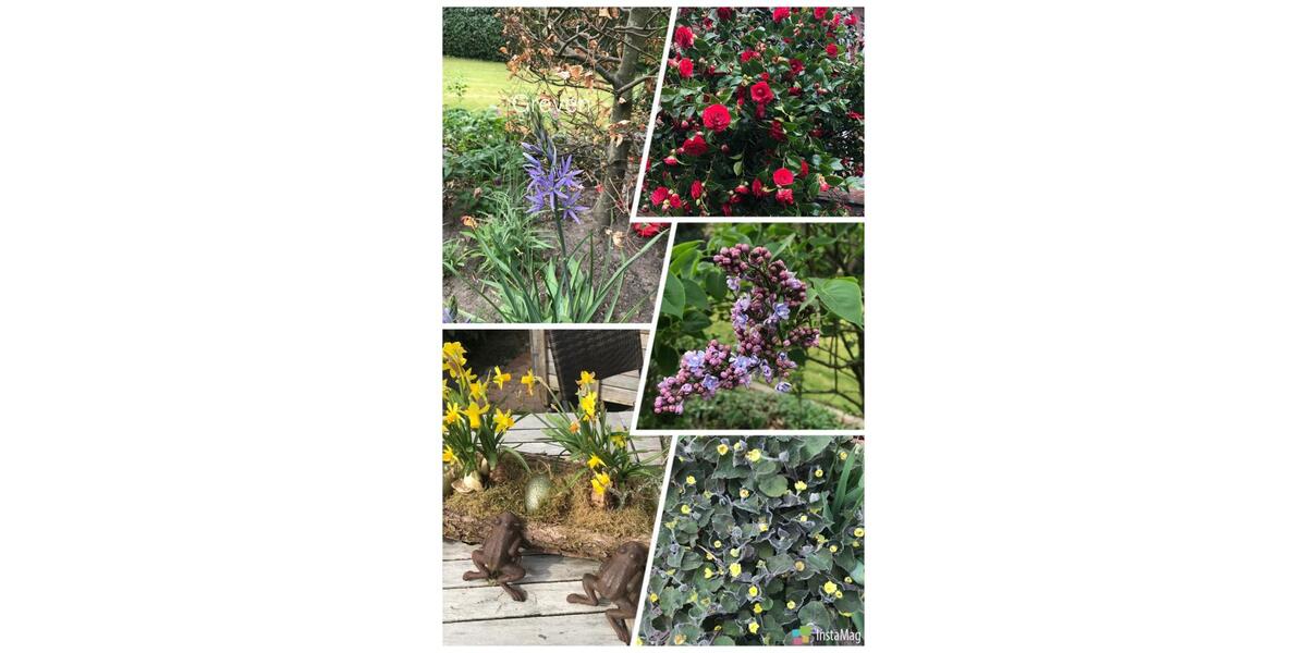 Wohnen auf Zeit Greven - 2 Zimmer, 50 m&sup2;, 80&euro; | Angebot:25903731