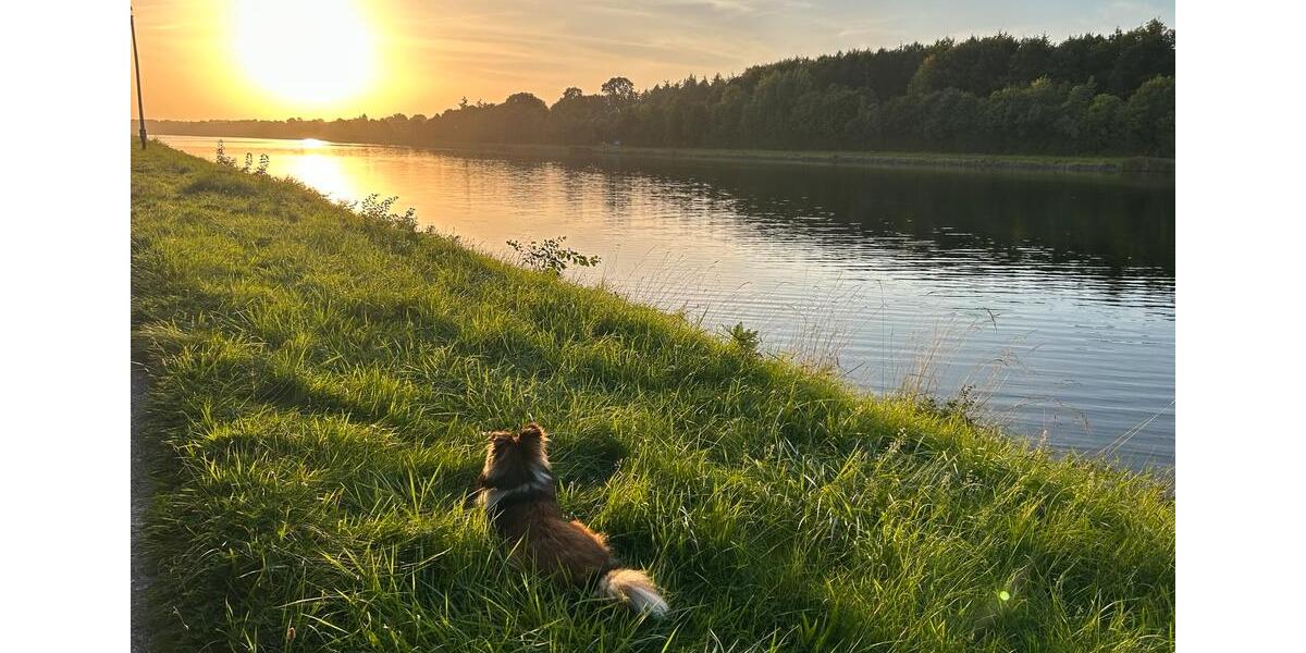 Einfamilienhaus Sehestedt - 6 Zimmer, 165 m&sup2;, 2.200&euro; | Angebot:25513212