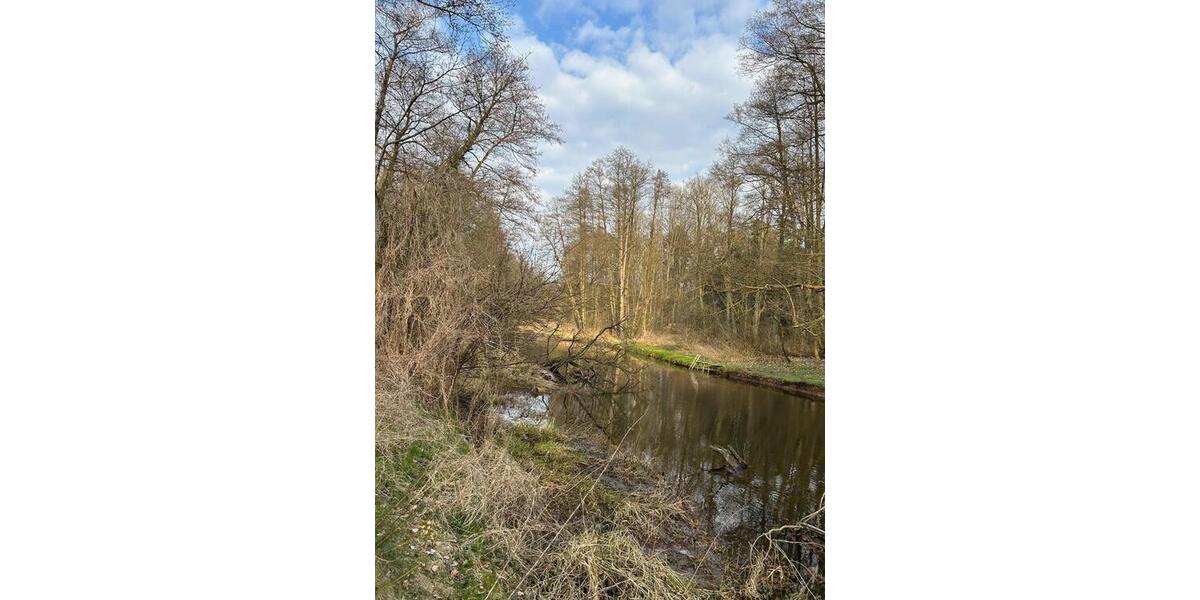 Etagenwohnung Pritzwalk - 2 Zimmer, 48 m&sup2;, 399&euro; | Angebot:25046531