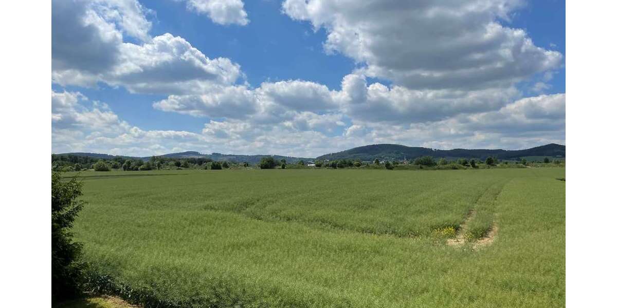 2026 im neuen Zuhause! 3 Zimmer, Garage möglich! - Erdgeschoßwohnung Elstra Kriepitz | Angebot:24485029