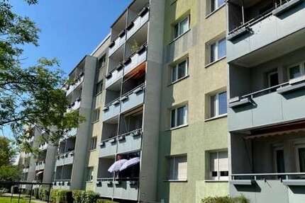 Wohnung zum Mieten in Brandenburg an der Havel 383,50 € 59 m² 3 zimmer