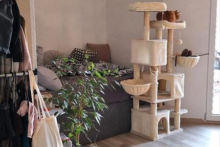 Wohnung Jessen (Elster) - 3 Zimmer, 96 m&sup2;, 850&euro; | Angebot:25249451