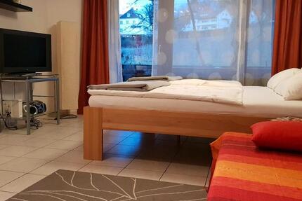 Wohnen auf Zeit Eichstetten am Kaiserstuhl - 1 Zimmer, 32 m&sup2;, 1.650&euro; | Angebot:24856924