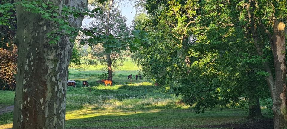 Wohnen auf Zeit Blankenfelde-Mahlow Groß Kienitz - 3.5 Zimmer, 135 m&sup2;, 800&euro; | Angebot:25286742
