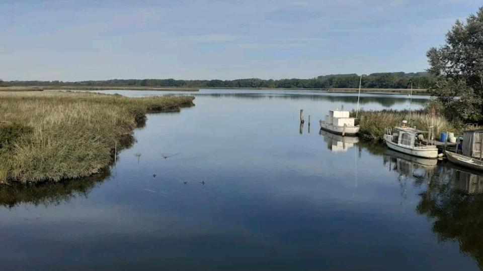 Erstbezug nach Sanierung 2 Zi- Wohnung 2 zimmer