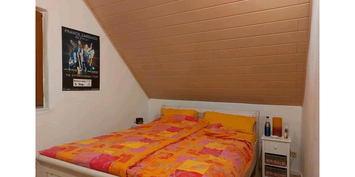 Dachgeschoßwohnung Partenstein - 1 Zimmer, 50 m&sup2;, 700&euro; | Angebot:24492339