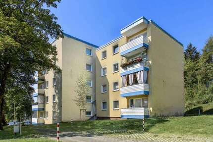 Wohnung zum Mieten in Siegen 229 € 64 m² 3 zimmer