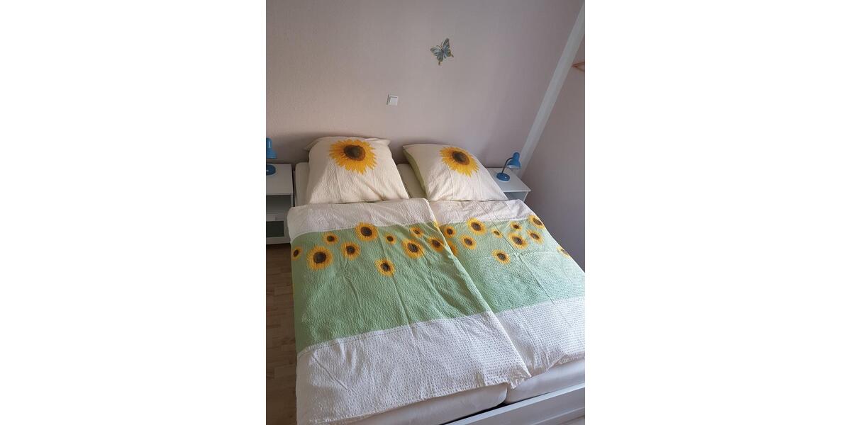 Etagenwohnung Ellenz-Poltersdorf Poltersdorf - 2 Zimmer, 40 m&sup2;, 49&euro; | Angebot:25995987