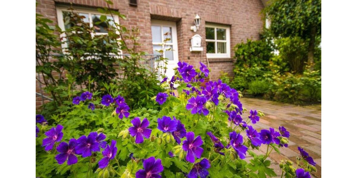 Wohnen auf Zeit Dollern - 2 Zimmer, 55 m&sup2;, 990&euro; | Angebot:25275127