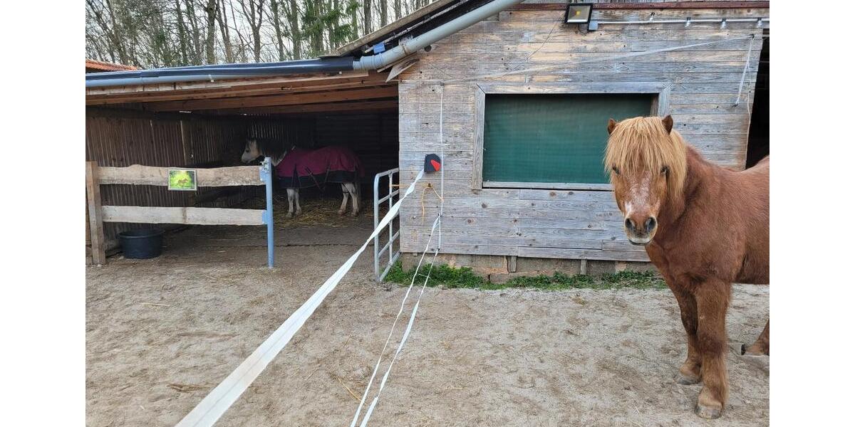 Etagenwohnung Pelm - 1 Zimmer, 16 m&sup2;, 450&euro; | Angebot:25323598