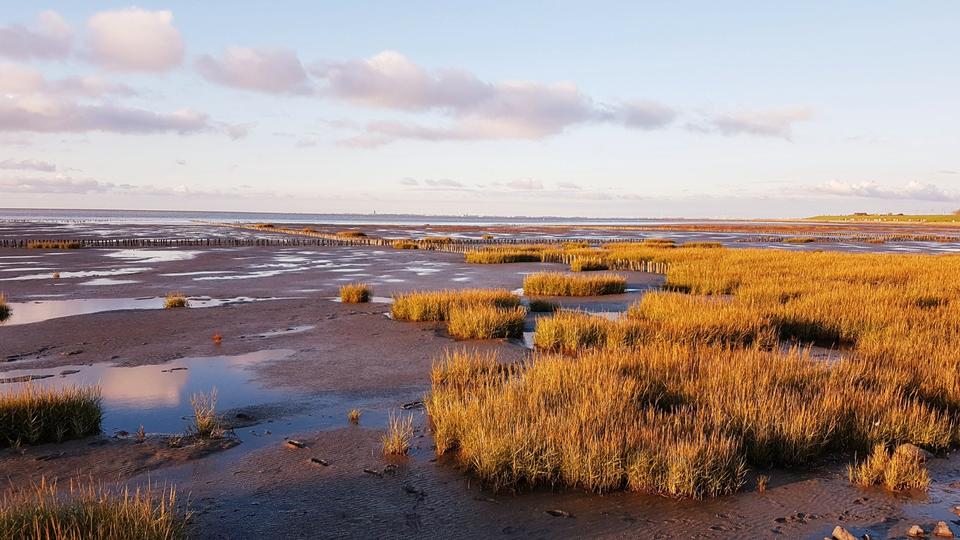 Maisonettenwohnung Friedrichskoog - 3 Zimmer, 49 m&sup2;, 590&euro; | Angebot:25976383