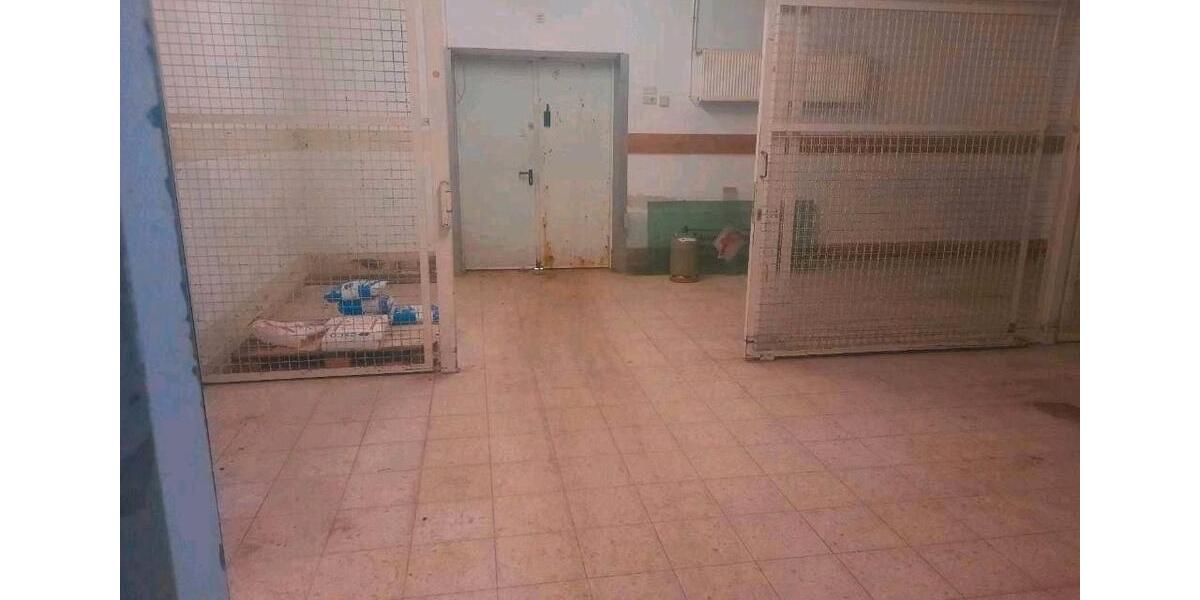 Gewerbeobjekt Klostermansfeld - 4&euro; | Angebot:26075236