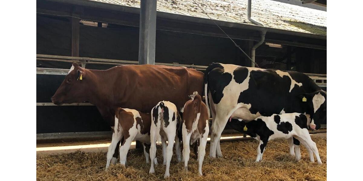 Wohnen auf Zeit Wrist - 5 Zimmer, 120 m&sup2;, 40&euro; | Angebot:21692169