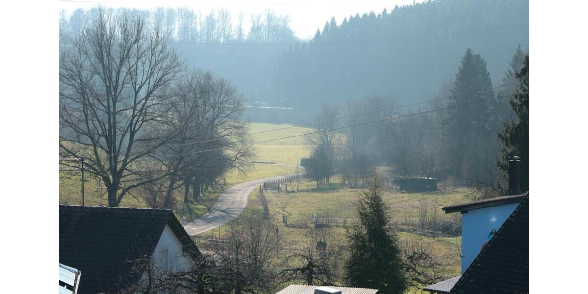 Erdgeschoßwohnung Rheinfelden (Baden) - 2 Zimmer, 70 m&sup2;, 1.050&euro; | Angebot:24649526