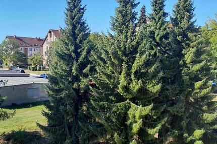 * FamilienWohnung mit Reparaturbedarf :) *