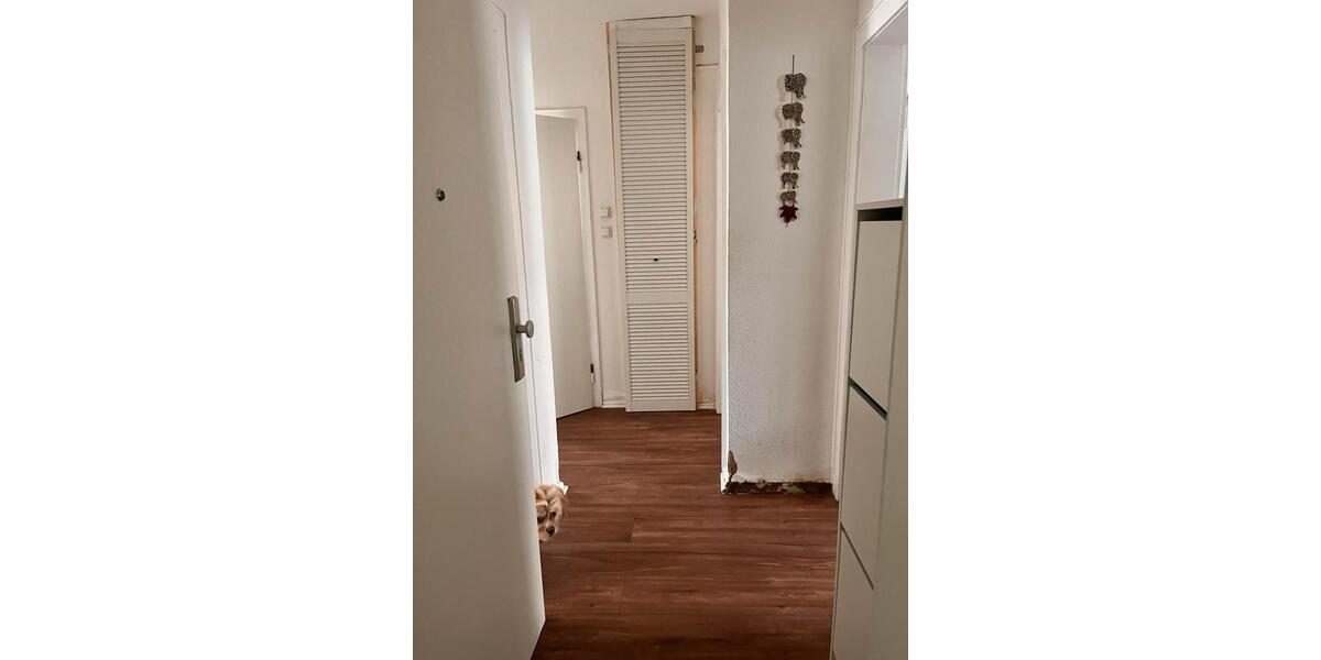 3-Zimmer-Wohnung 3 zimmer