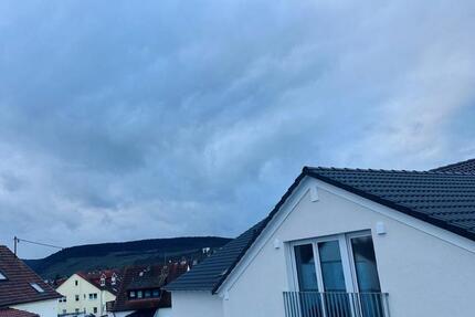 Wunderschöne und ruhige 1ZKB zu vermieten 1 zimmer