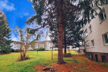 Wohnung Dresden Naußlitz - 2 Zimmer, 43 m&sup2;, 405&euro; | Angebot:27289830