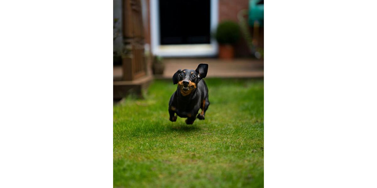 Einfamilienhaus Hasbergen - 5 Zimmer, 136 m&sup2;, 1.500&euro; | Angebot:24633440