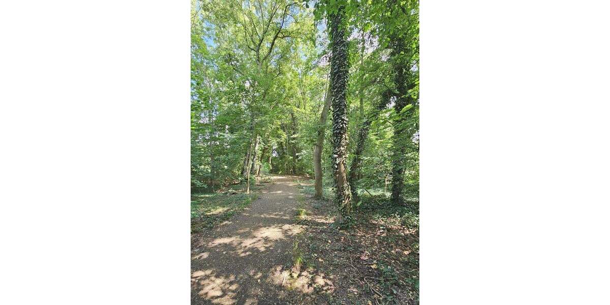 Etagenwohnung Markkleeberg OT Gaschwitz Gaschwitz - 3 Zimmer, 62 m&sup2;, 720&euro; | Angebot:24916804