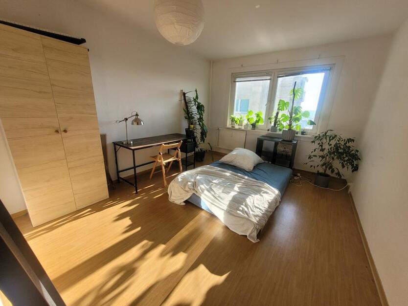Private Room in a Shared Apartment