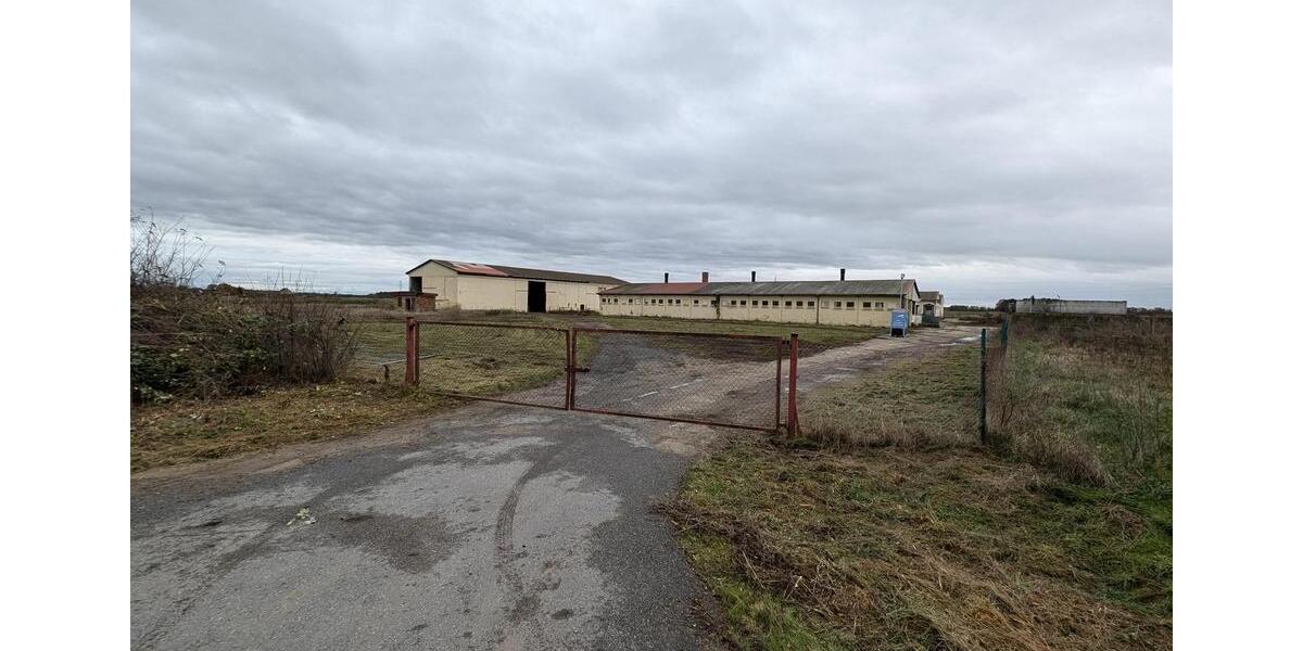 Gewerbeobjekt Jessen (Elster) - 785&euro; | Angebot:24373632