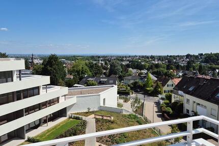 Wohnung Hofheim am Taunus - 2 Zimmer, 63 m&sup2;, 1.100&euro; | Angebot:24711600