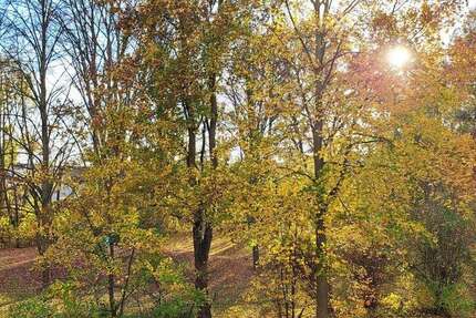 Wohnung zum Mieten in Magdeburg 723,33 € 74.57 m² 3 zimmer