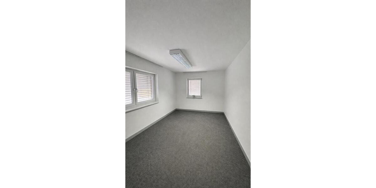 Gewerbeobjekt Mintraching - 1.950&euro; | Angebot:24747037