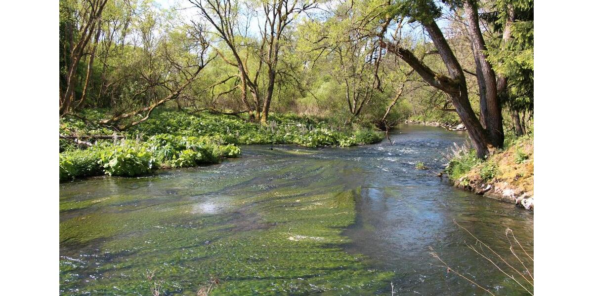 Dachgeschoßwohnung Birresborn - 4 Zimmer, 100 m&sup2;, 650&euro; | Angebot:24829579