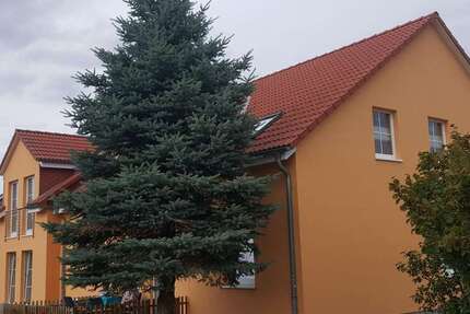 Wohnung zum Mieten in Hecklingen OT Schneidlingen 345 € 58.89 m² 2 zimmer