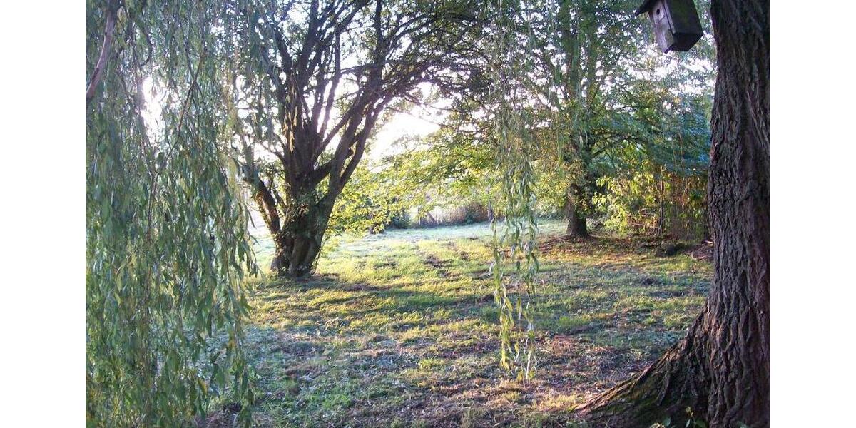 Etagenwohnung Solms - 1 Zimmer, 58 m&sup2;, 630&euro; | Angebot:26235573