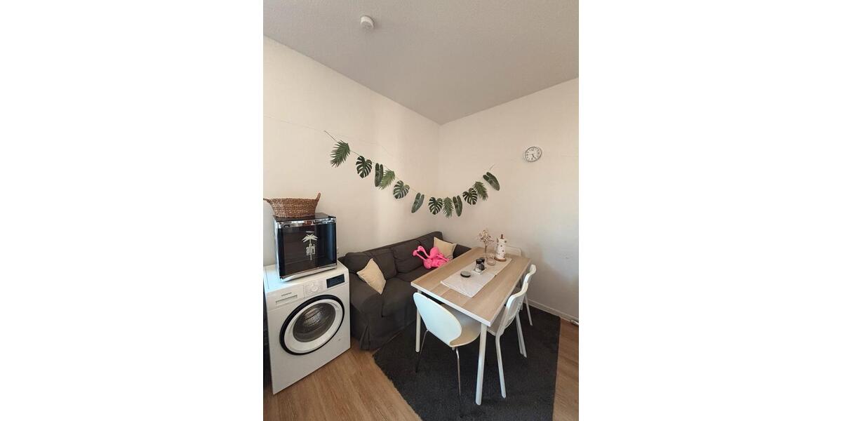 Wohnen auf Zeit Gifhorn - 1 Zimmer, 14 m&sup2;, 510&euro; | Angebot:26014185