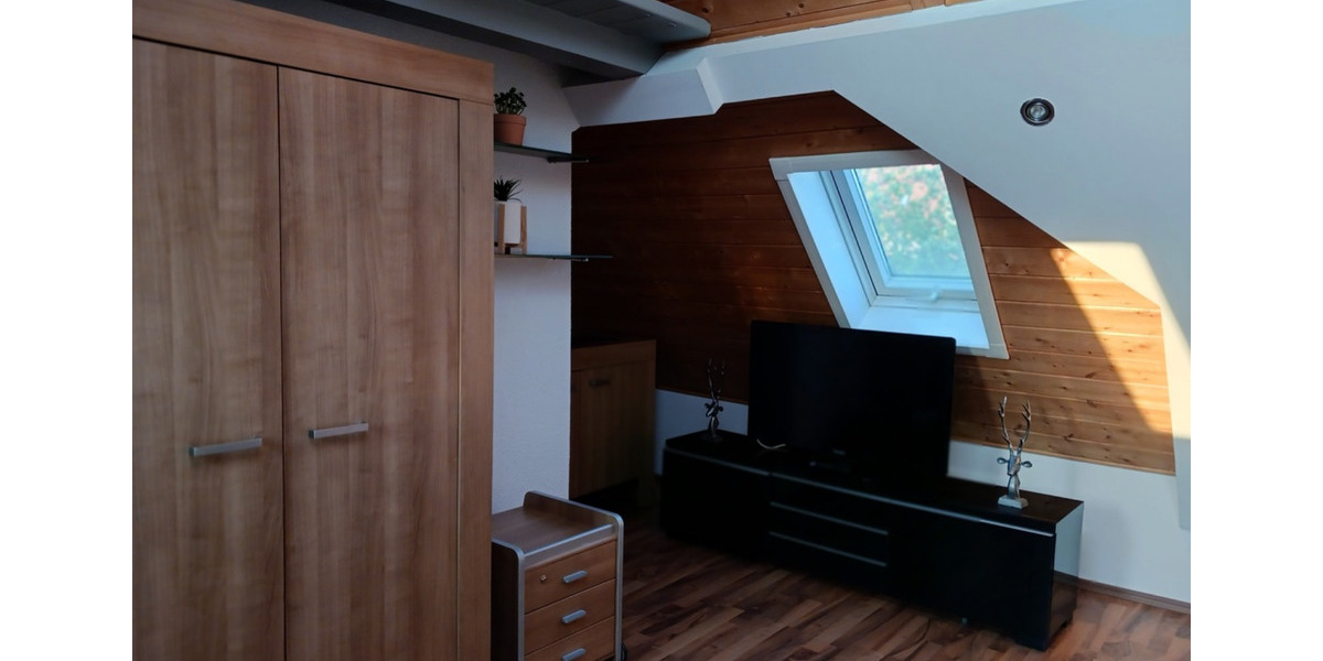 1 Zimmer Wohnung ab sofort verfügbar - April 26, zentral in Mfeld 1 zimmer