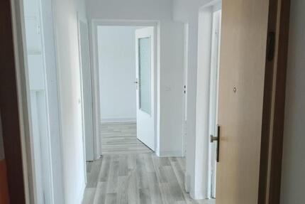Wohnung Mücheln (Geiseltal) - 3 Zimmer, 59 m&sup2;, 220&euro; | Angebot:25350267