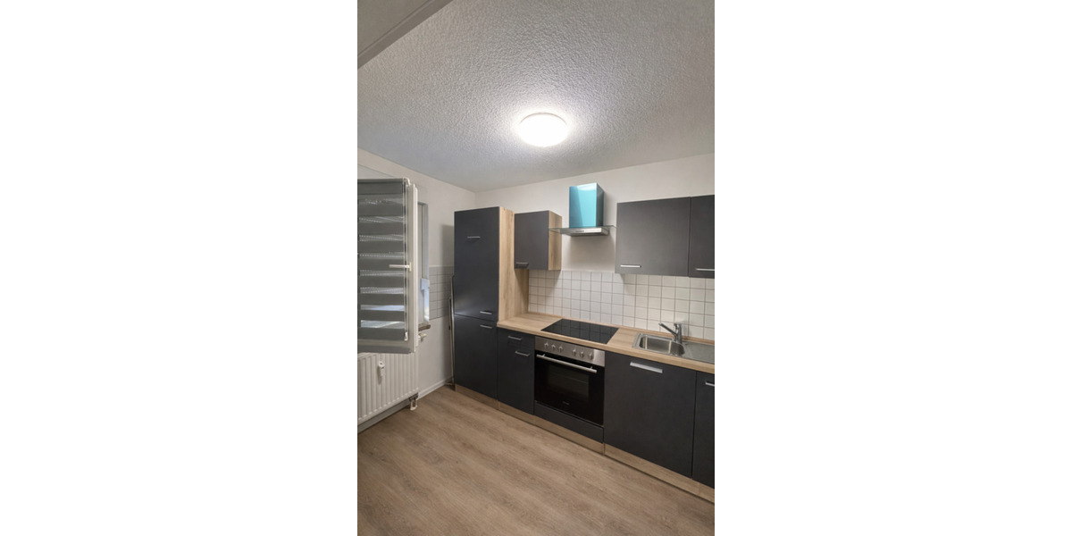 Erdgeschoßwohnung Dresden Blasewitz - 1 Zimmer, 45 m&sup2;, 450&euro; | Angebot:25180310