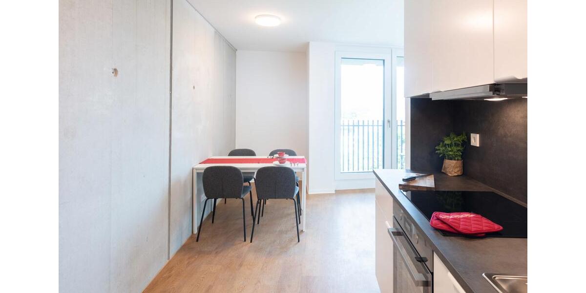 Wohnen auf Zeit Aachen Aachen-Mitte - 1 Zimmer, 34 m&sup2;, 750&euro; | Angebot:26236308