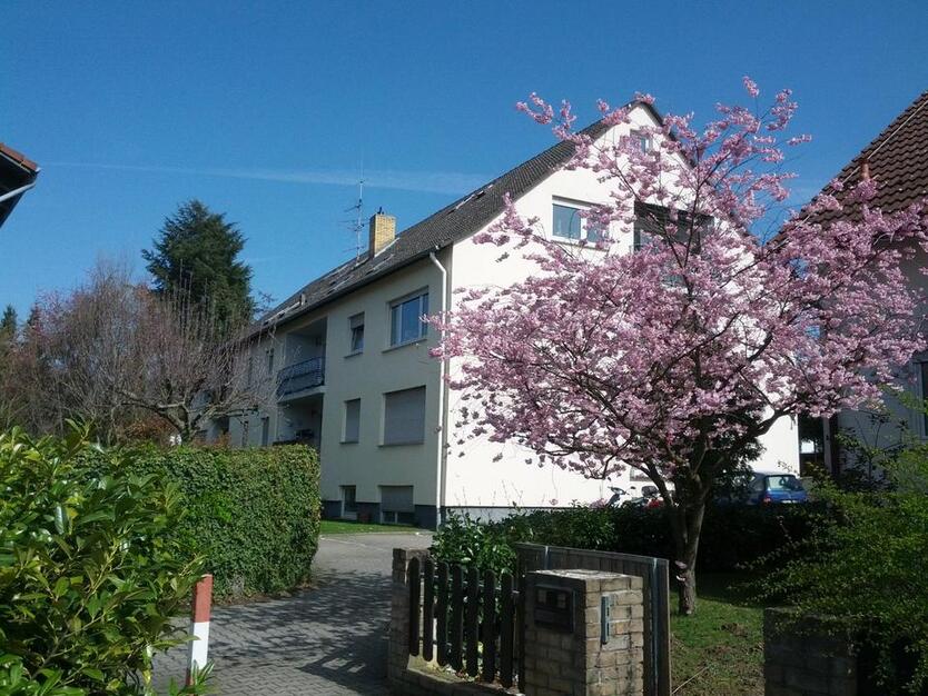 helle geräumige 3,5 Zi.Souterrain Wo. 113m² ideale Lage Alsbach
